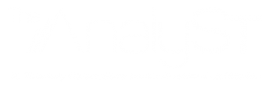 the-analyst-logo-white-300x101