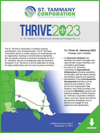 download-thrive-executive-summary-2