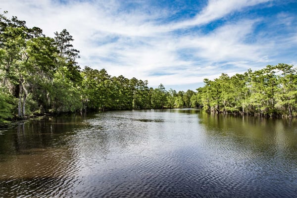 Serene river surrounded by green trees and a blue sky.