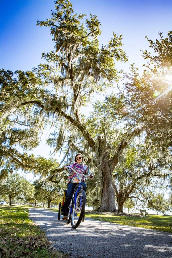 Woman biking on sunny rural road, large tree in background.