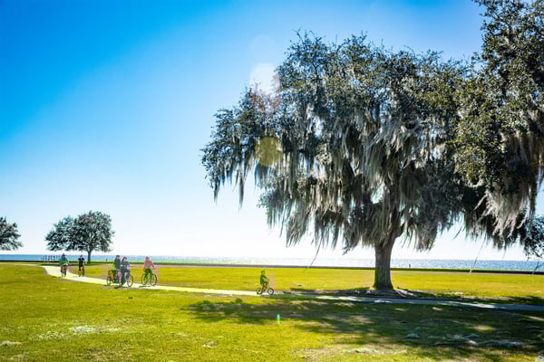 Families biking and walking on a sunny path with a large lake and trees in the background.