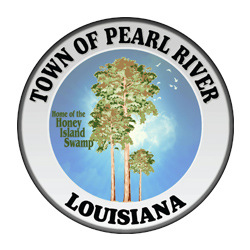perl-river-seal